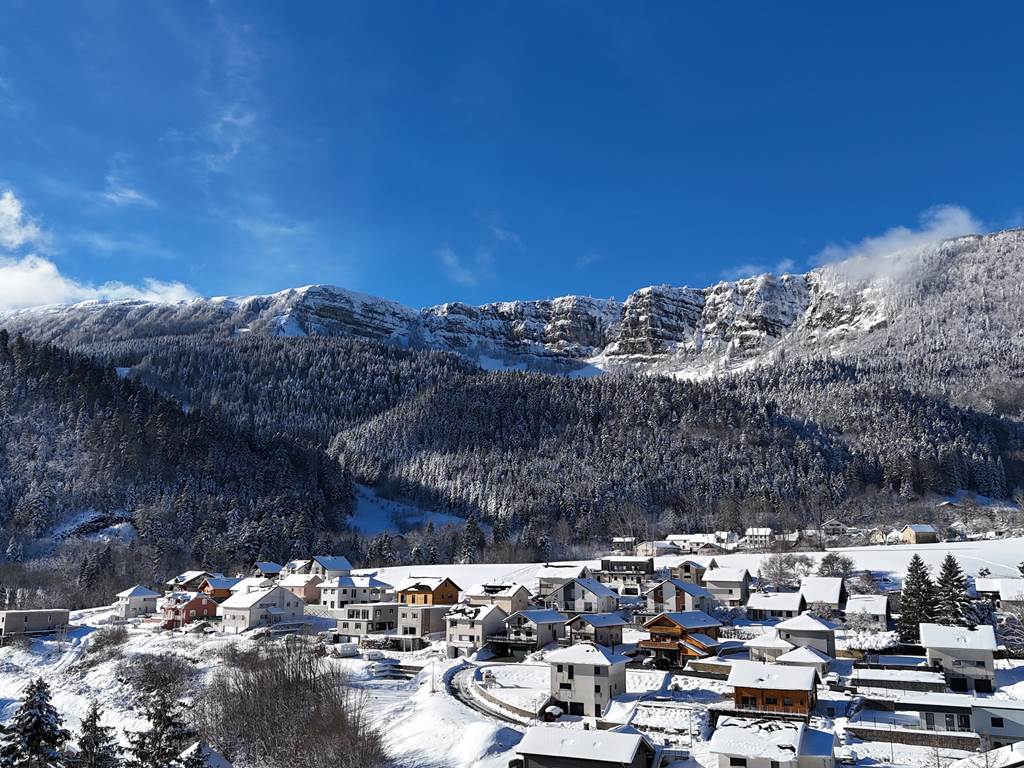 DJI_20241224122720_0232_D