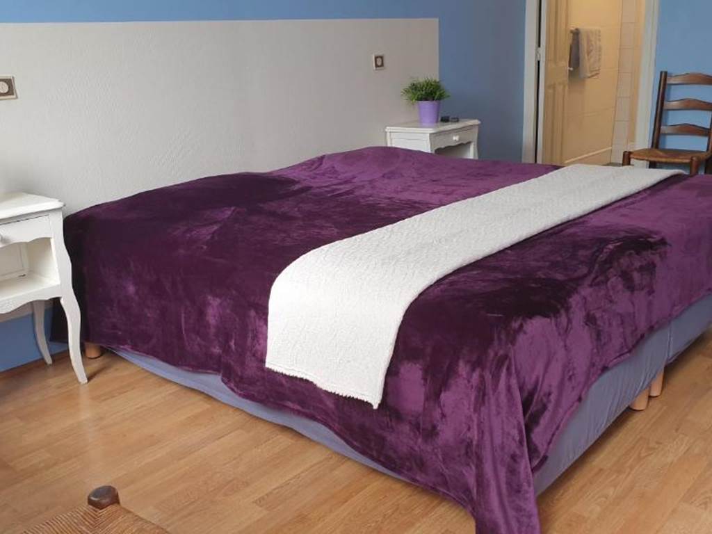 Auberge de 30 Pas chambre violet