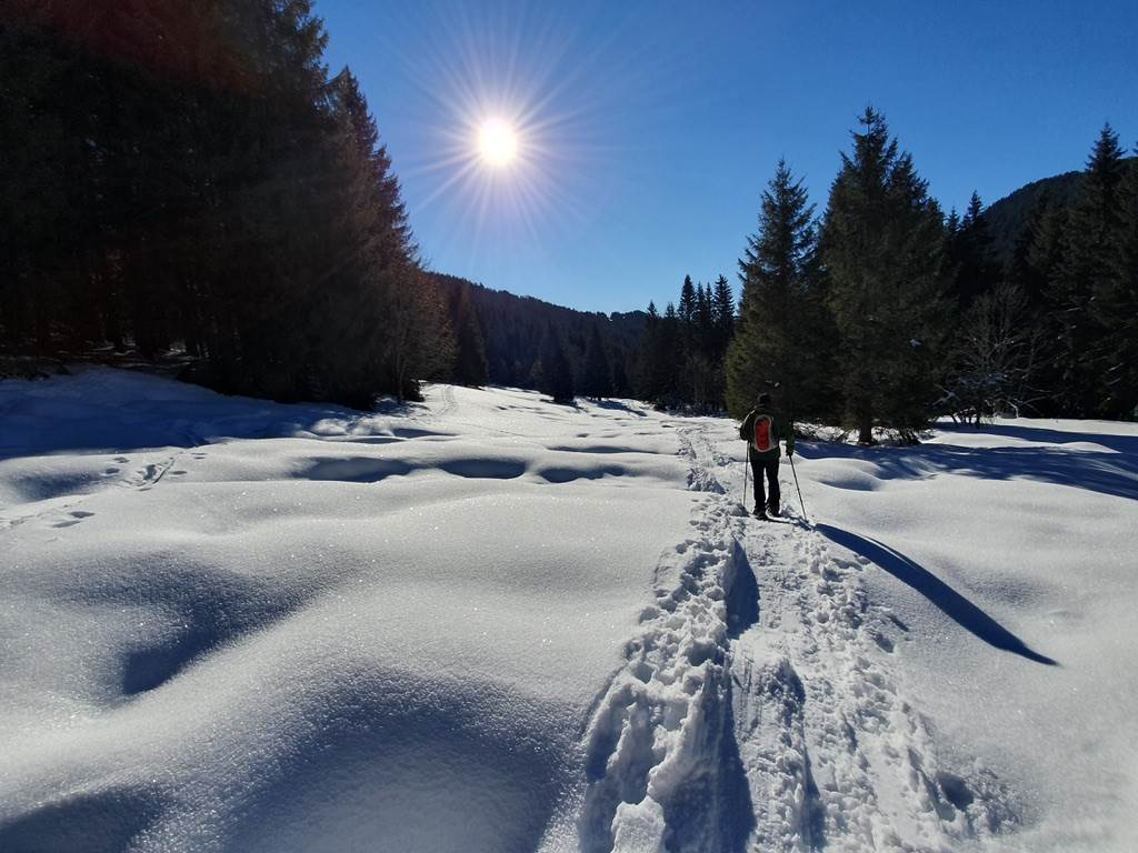 Raquettes sur le sentier de la Gotreuse - Sur place
