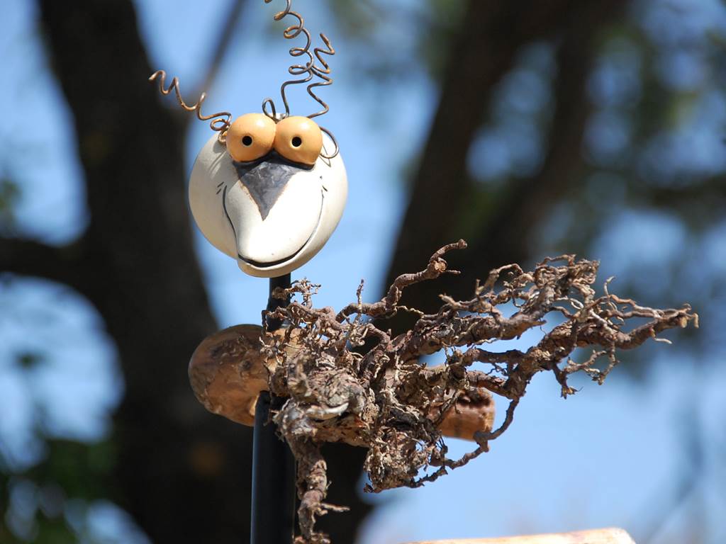 Décoration extérieure au Cellier des Amis dans les Alpes de Haute Provence