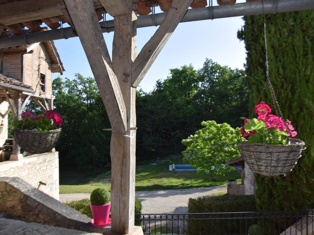 Vue du bolet