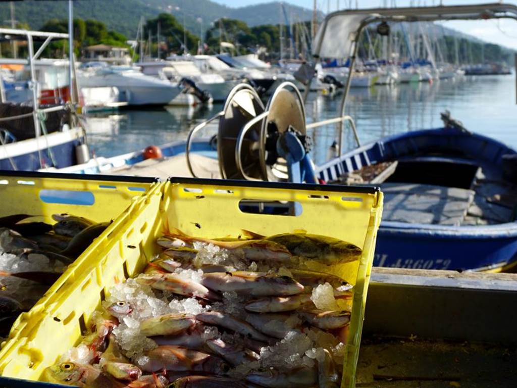 csm_PECHE_POISSON_PORT_f76d23bff7