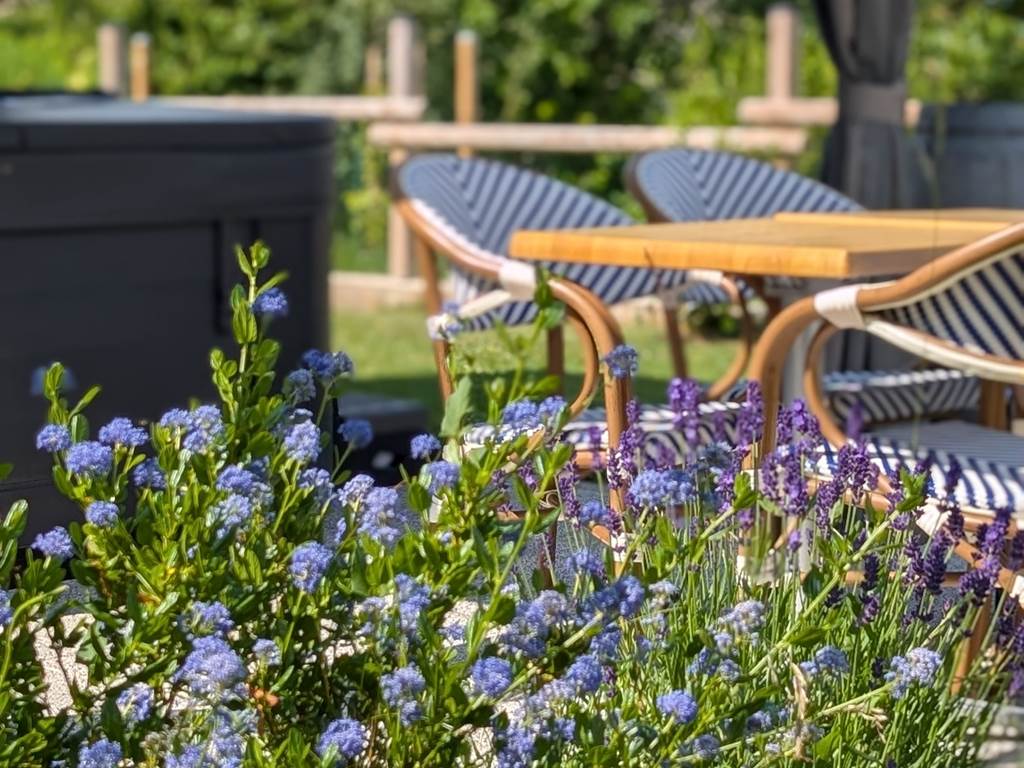 Gîte Le Cémarose en Champagne jardin paysager