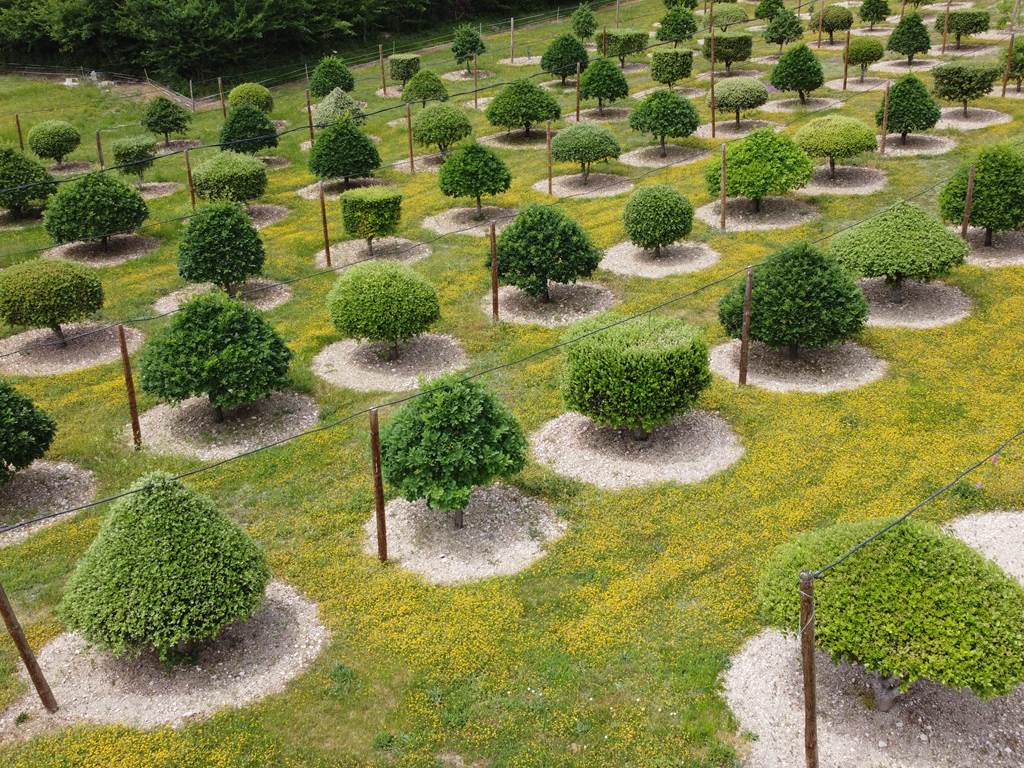 Photo_6553732_DJI_132_jpg_4180852_0_2022521134036_photo_original