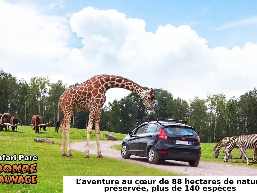 Belle découverte !