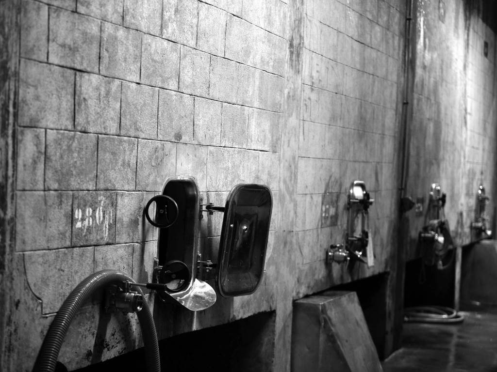 Cave du domaine de l'Herbe sainte