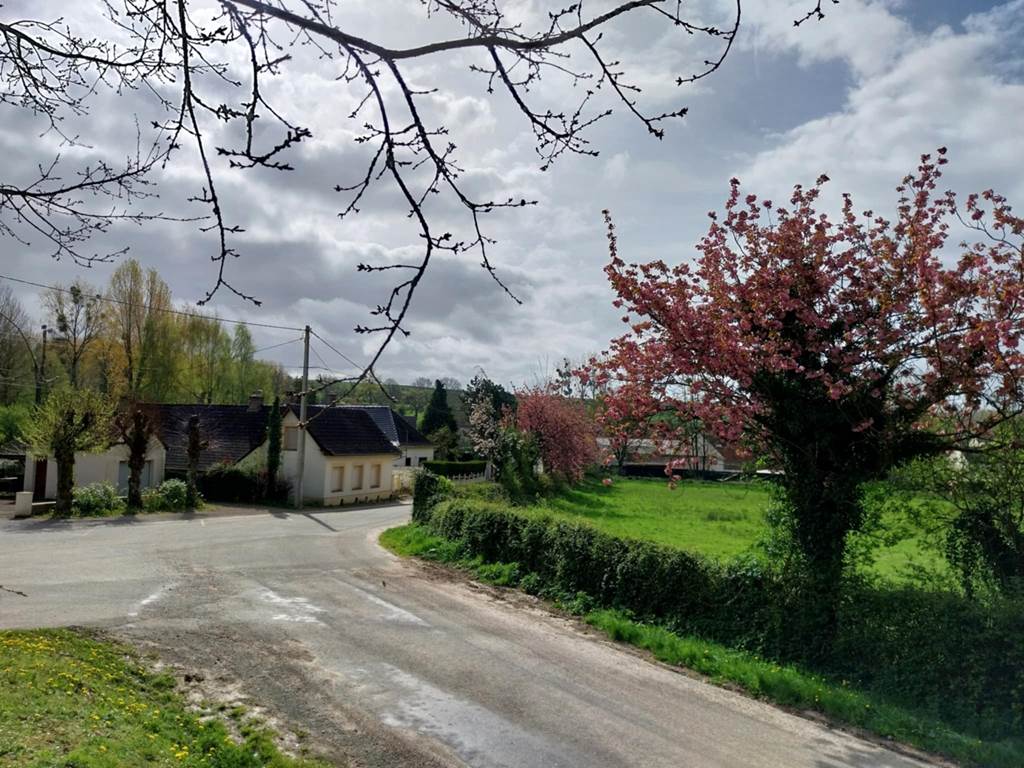 Petites routes bordées de fleurs et de haies champêtres, parfaites pour un séjour nature et détente dans le Pas-de-Calais.