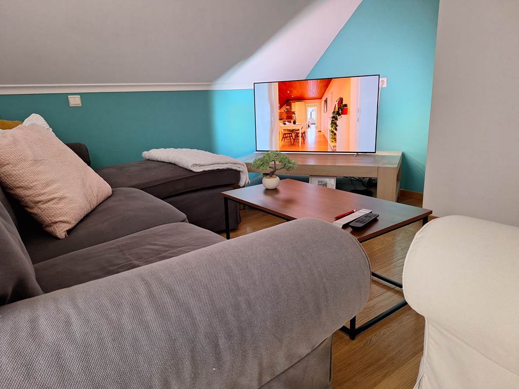 13-salon-tv-video-gite-lecureuil-namur-wepion.jpg