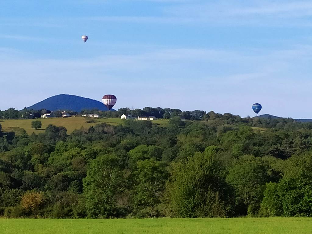 IMG_20210913_091244_1