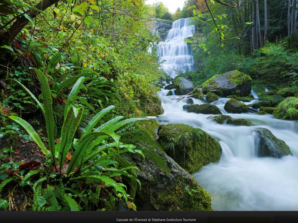 IMG_1852
