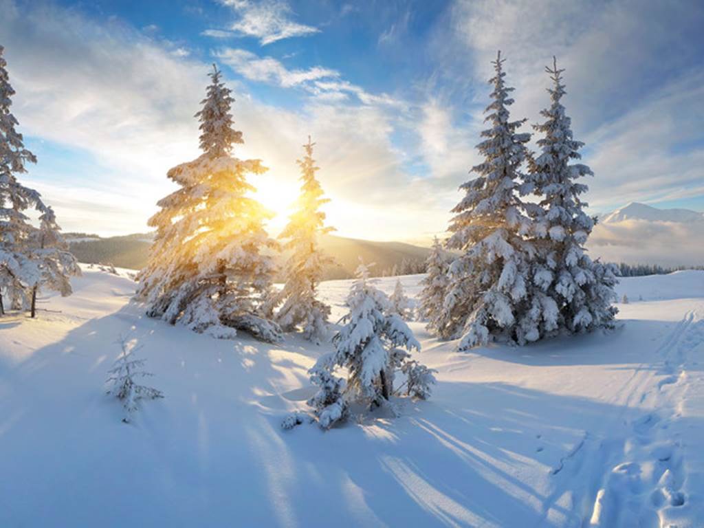 paysage d'hiver dans les vosges