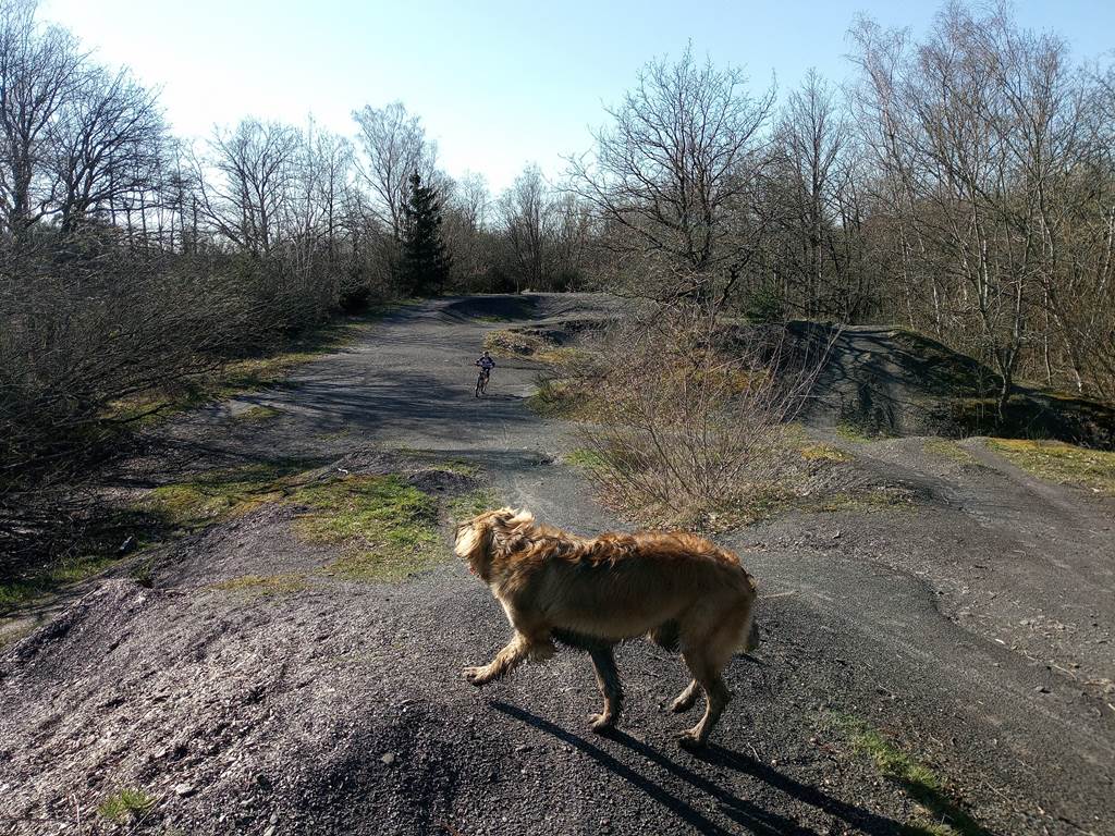 VTT a gauche