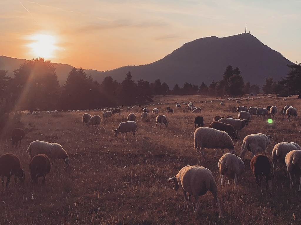 Gîtes Moréno Puy-de-Dôme Proche Vulcania Auvergne Sancy Tourisme Location de vacances Ski Montagne Lacs Volcans VTT randonnées