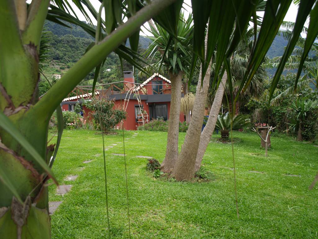 jardin