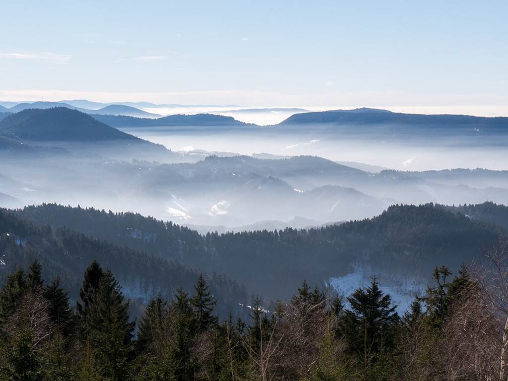 sea-of-fog-2003763_1280