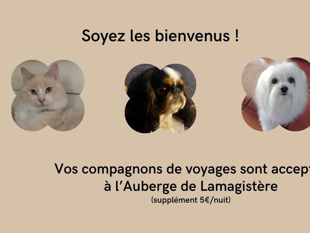 Nos amis les animaux sont les bienvenus