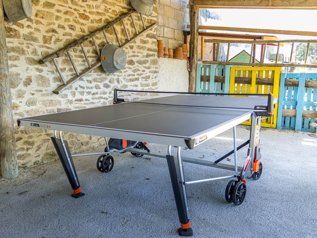 table de ping-pong