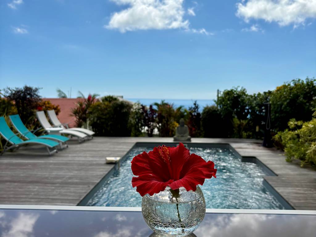 Piscine chauffée avec vue mer ou océan