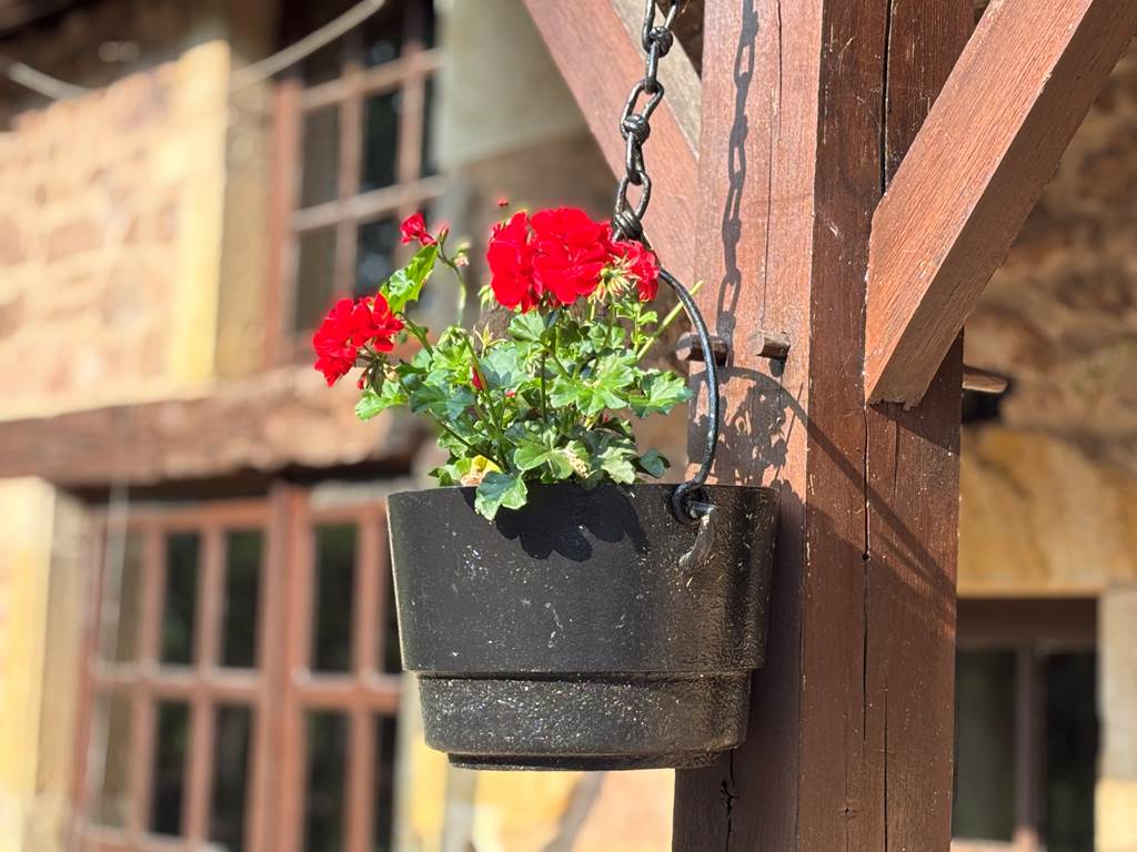 géranium auberge de clos lavaux