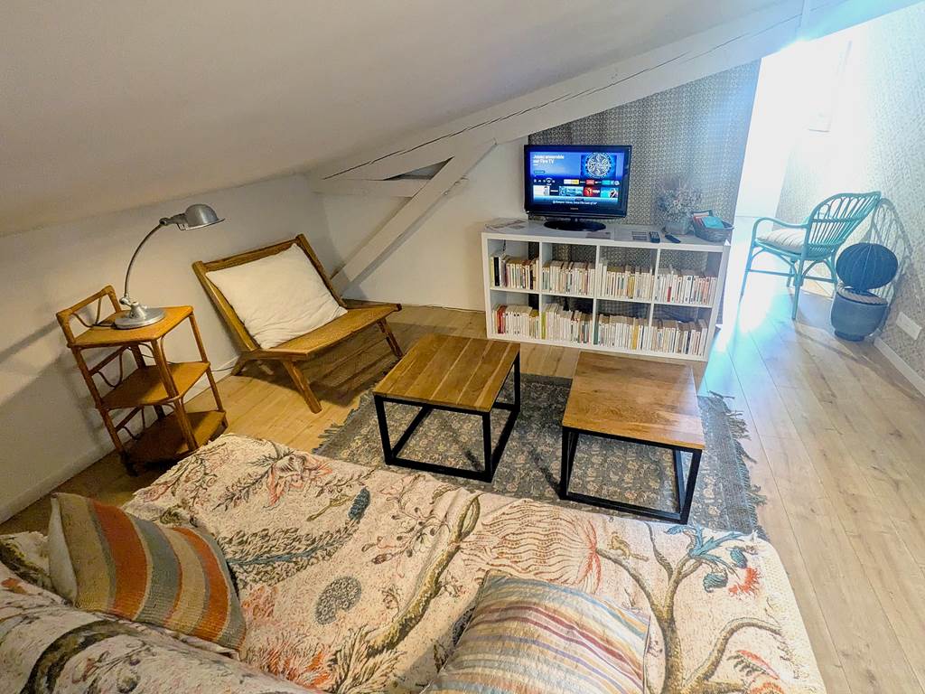 salon TV NETFLIX 16 Bis gite hotel-marssac-albi-gaillac
