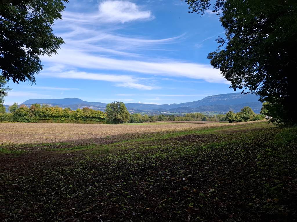 campagne-calme-saint-jean-davelanne