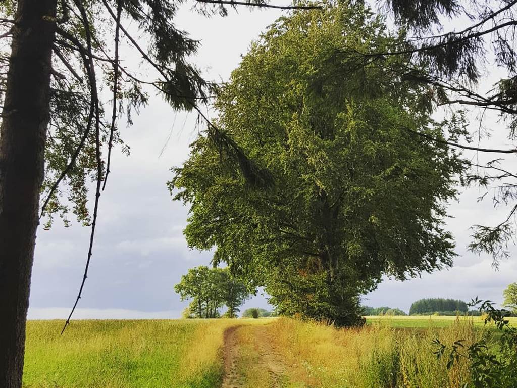balade au départ du gîte