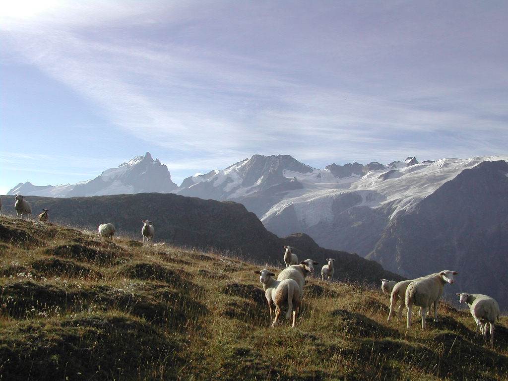 Vers le Plateau d'Emparis 2450 m.