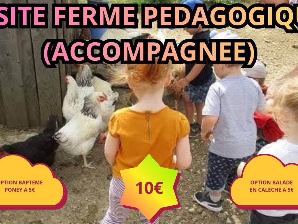 L’écurie du Vermois (4)