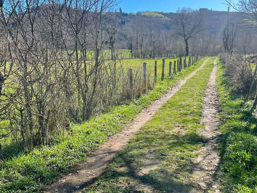 Petits chemins de campagne.