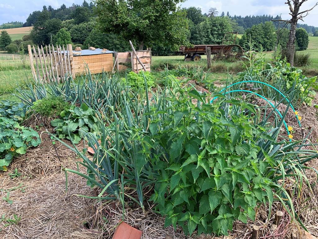 Les terres de la chouette, le potager