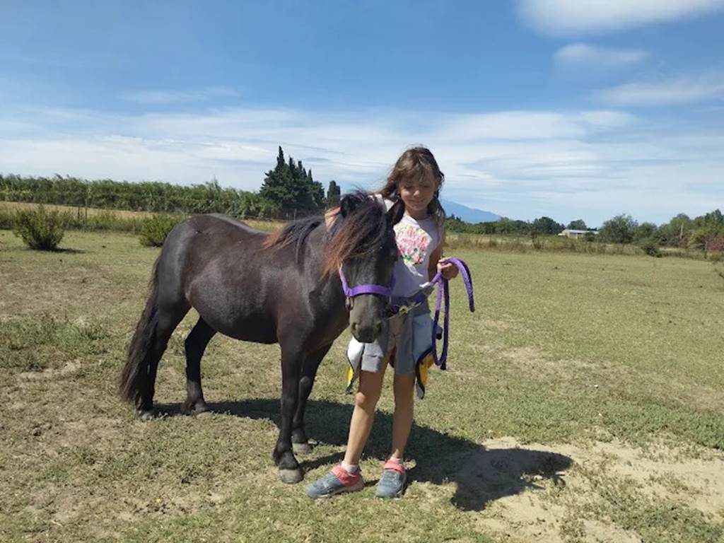 balade à poney Pyrénées-Orientales  promenade poney 66  activité enfant Pyrénées-Orientales  poney club 66  centre équestre Pyrénées-Orientales  balade à cheval 66  activité famille Pyrénées-Orientales  équitation enfant 66  balade à poney près de Perpignan  balade à poney bompas, claira, toreilles, barcares, canet en roussillon, sainte marie, Thuir, Pézilla, elne, cabestany, rivesaltes, saint estève
