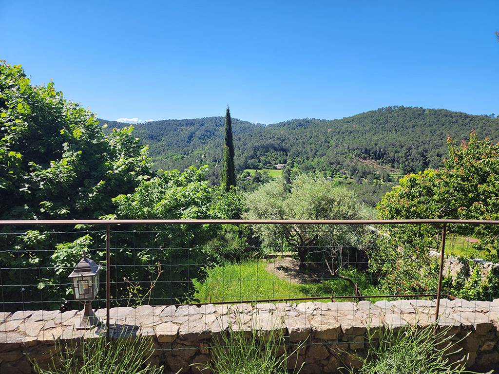 Jardin_15