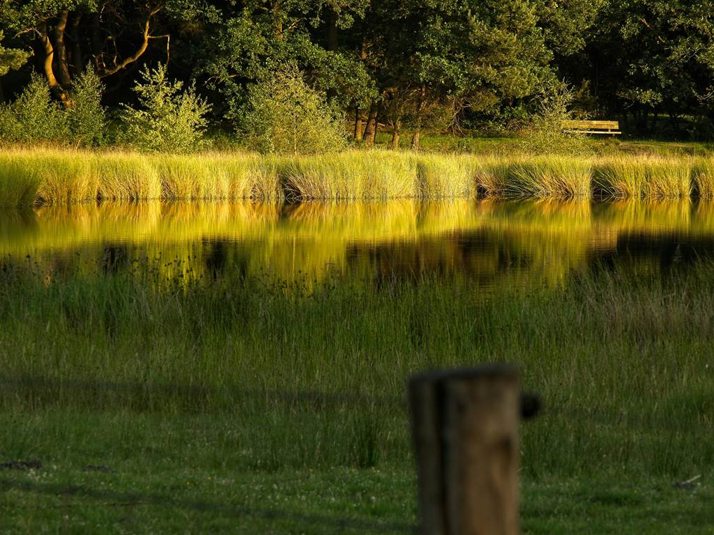 Escapade-a-la-campagne-en-Ile-de-France