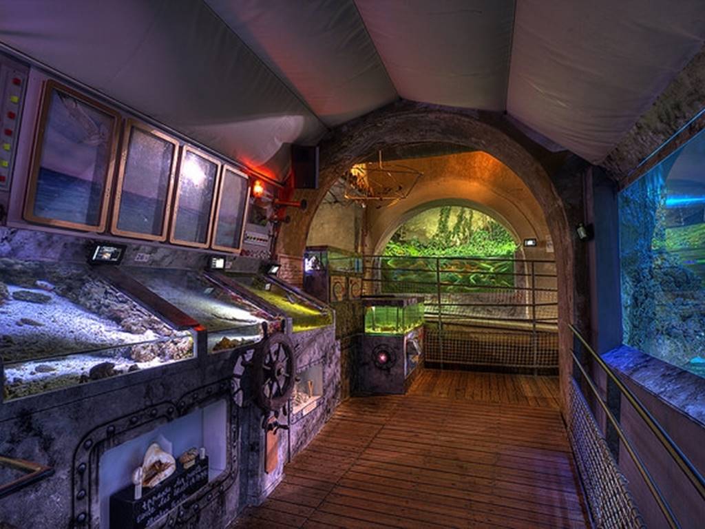 AQUARIUM DU LIMOUSIN A LIMOGES