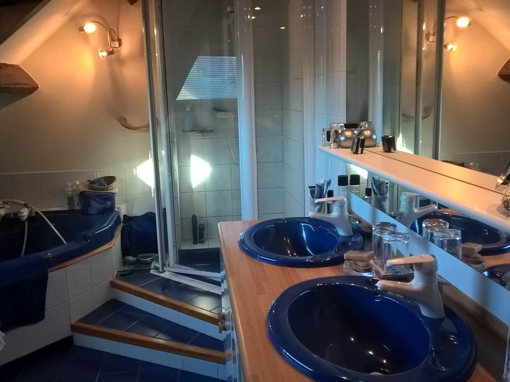 Salle de bains douche baignoire