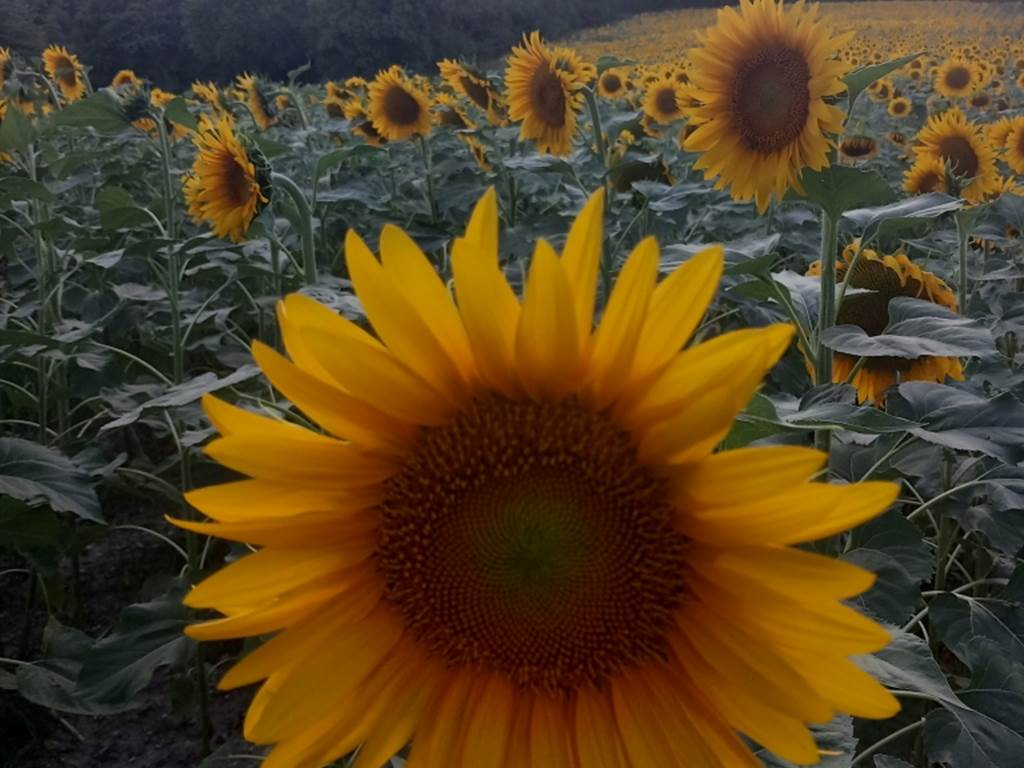 20260715_213058