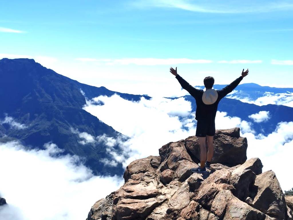 3555fe31-95e3-4135-8148-bf20052d9d1c