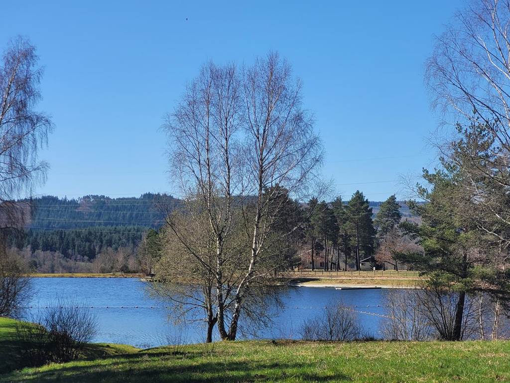 Gîte n°19G4263 "Les Myrtilles" – SORNAC