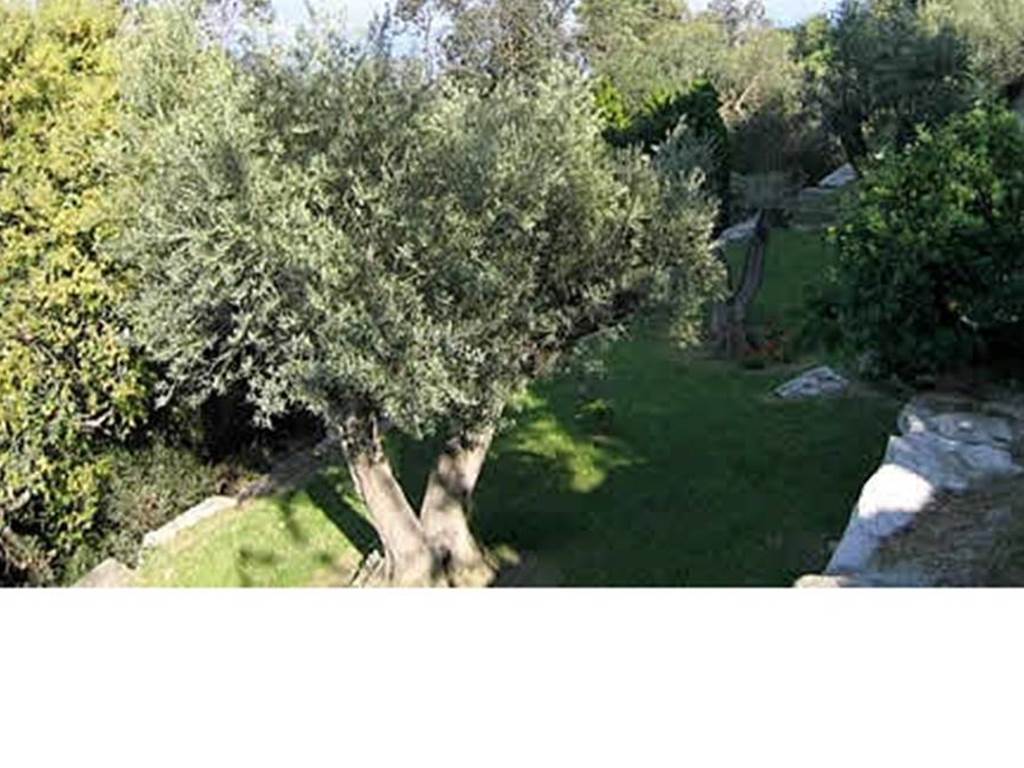 jardin en restanques