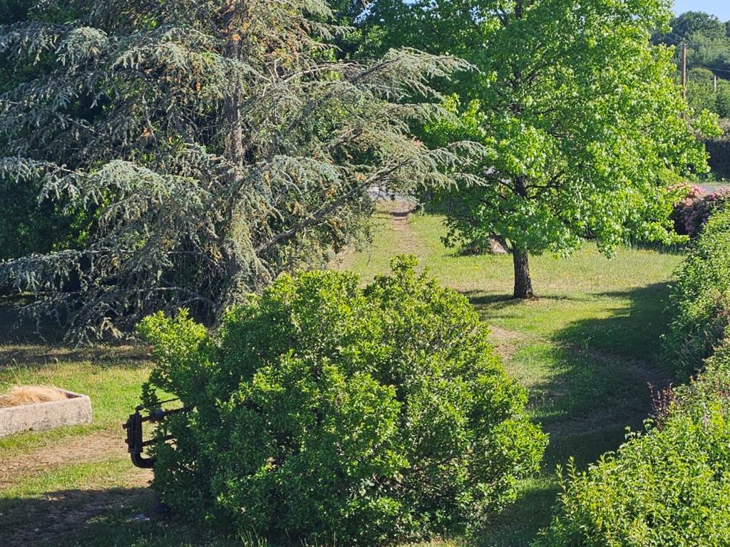 Le Quai d'Neuf — Gîte de groupe en Creuse (15 personnes) - vue jardin