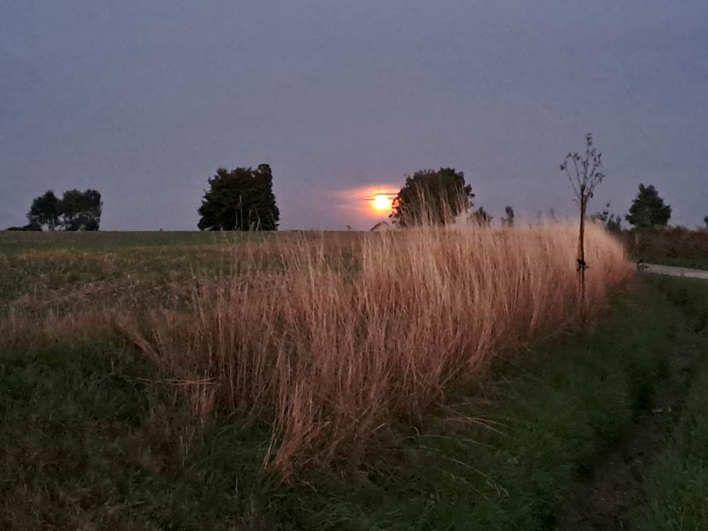 Lever de lune sur Falmagne