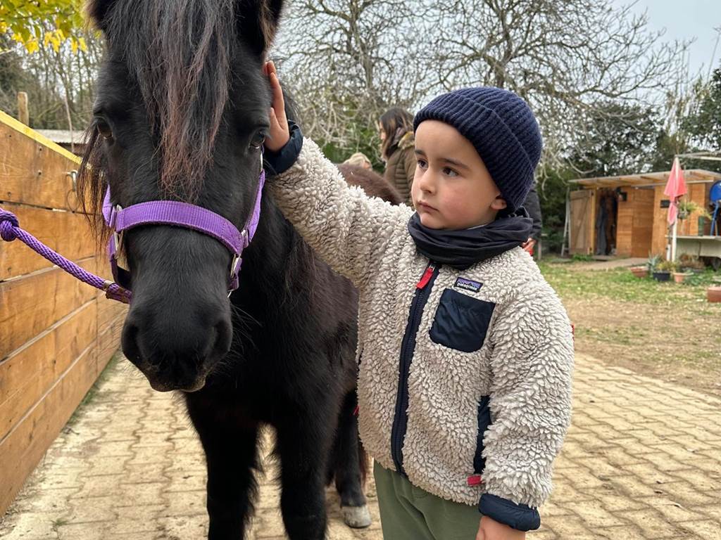 balade à poney Pyrénées-Orientales  promenade poney 66  activité enfant Pyrénées-Orientales  poney club 66  centre équestre Pyrénées-Orientales  balade à cheval 66  activité famille Pyrénées-Orientales  équitation enfant 66  balade à poney près de Perpignan  balade à poney bompas, claira, toreilles, barcares, canet en roussillon, sainte marie, Thuir, Pézilla, elne, cabestany, rivesaltes, saint estève