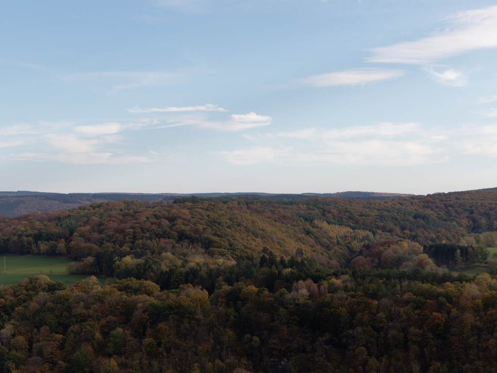 Vue générale d'un paysage vallonné en automne