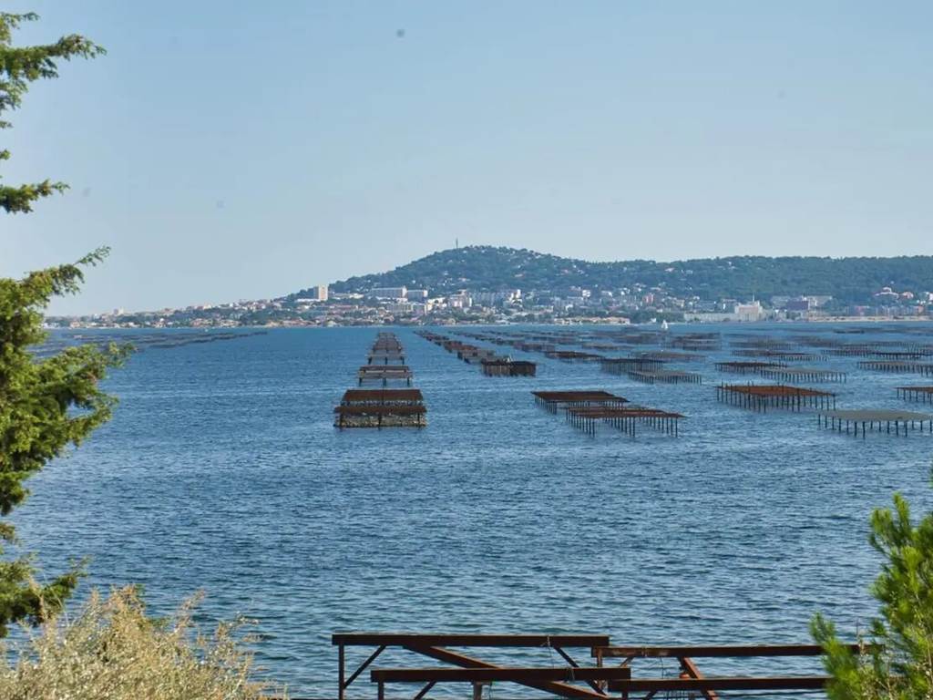 LES DEMEURES DE THAU - Etang
