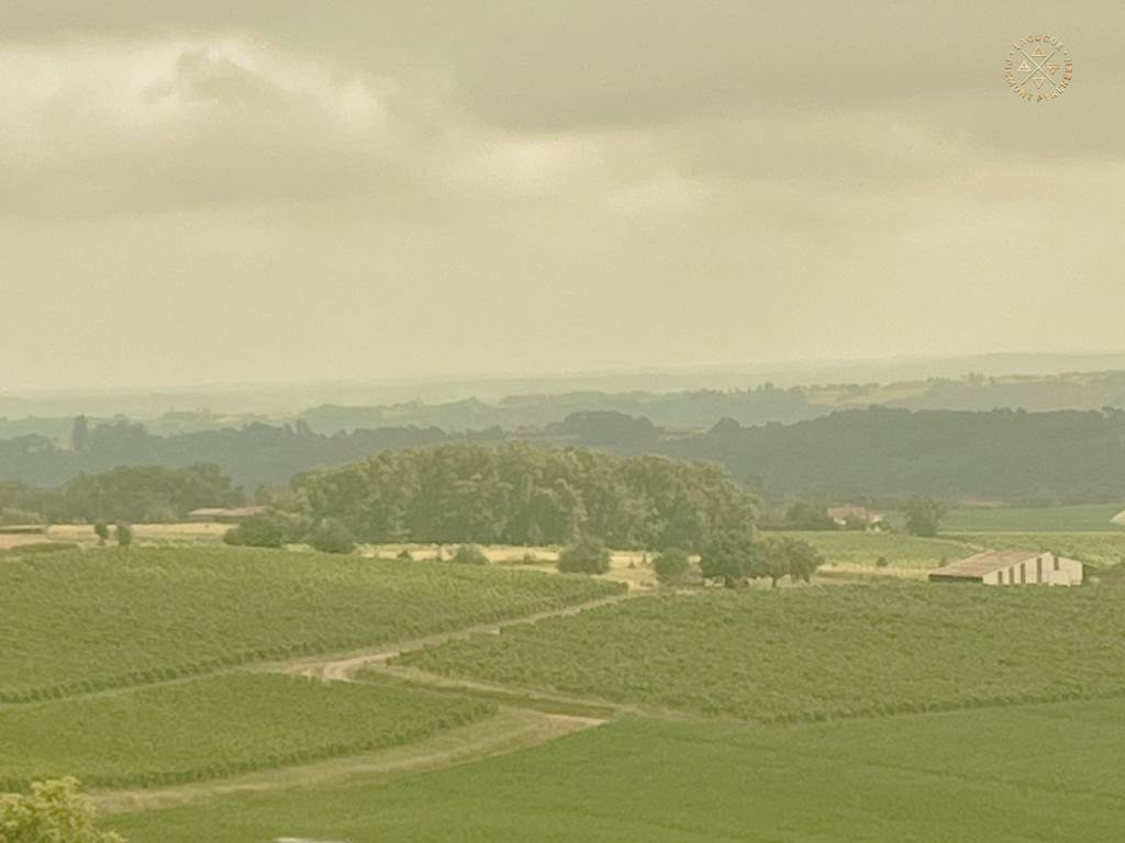 Domaine Laougué - le vignoble tryptique 3