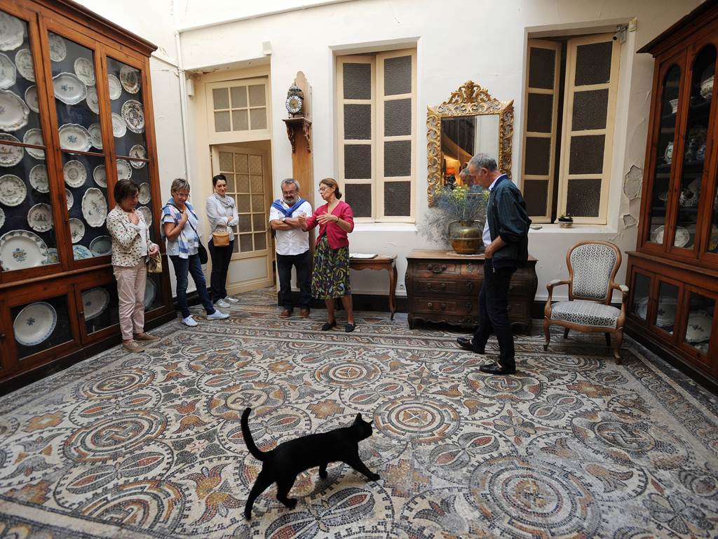 Maison Sentex (c) Nicolas Lelièvre