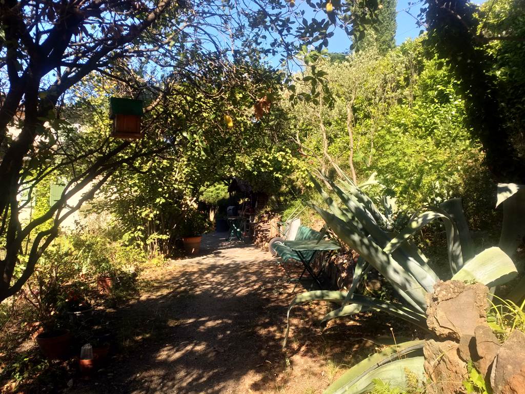 Le Jardin