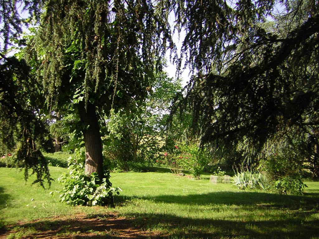 Parc
