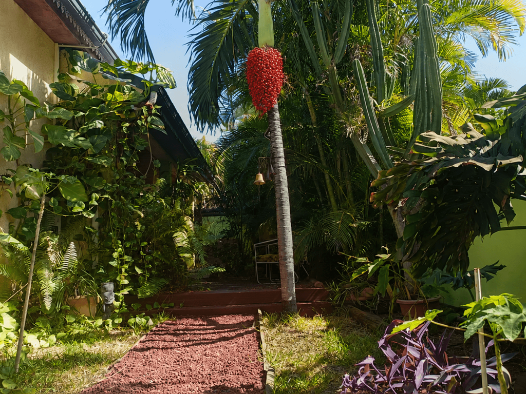 Entrée de la maison et de notre chambre d'hôte Dodo Salé