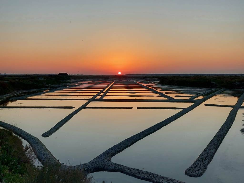Marais salants guérandais